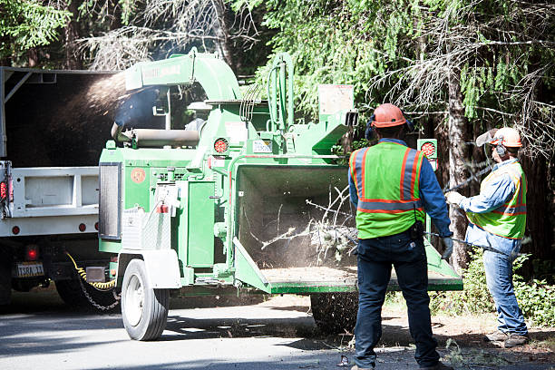 Best Grass Overseeding  in Seaside Heights, NJ